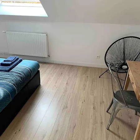 Elegant Duplex Renove Apartment Amiens